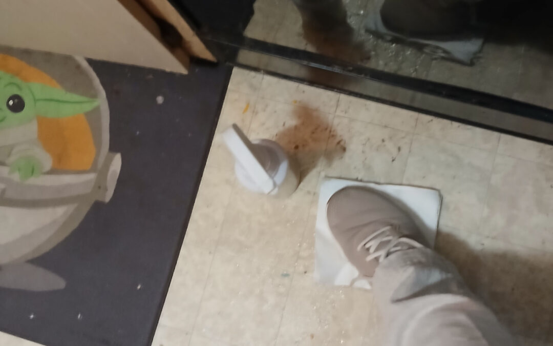 Real-Life Cleaning Rhythms