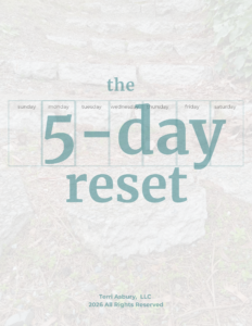 Cover of digital guide titled, the 5-Day reset.